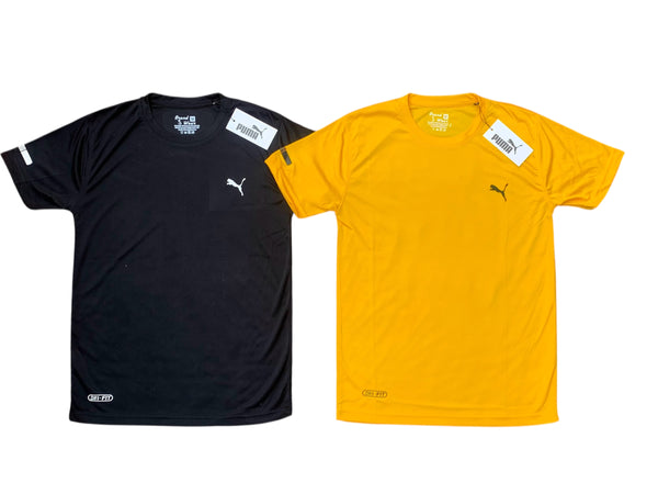 Puma Pack of 2 Dry Fit T-Shirts