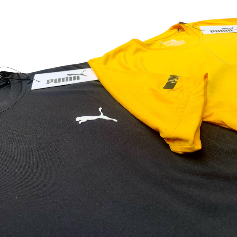 Puma Pack of 2 Dry Fit T-Shirts